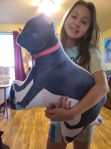 Customer photo review of Create A Custom Dog Pillow