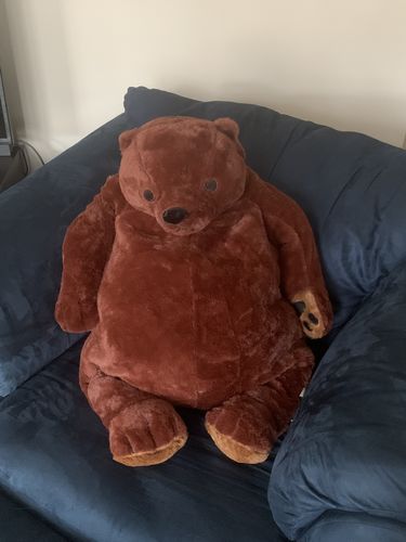 Customer photo review of SKOGGY BEAR