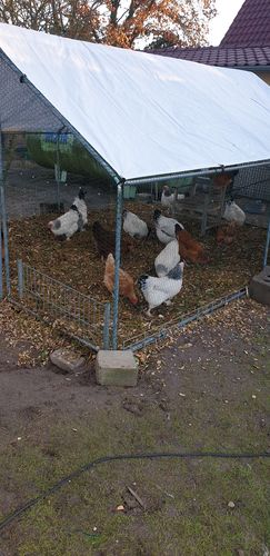 Customer photo review of BlackTasty™ Tierfutter aus Insekten