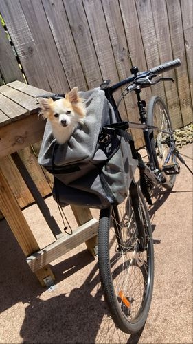 Customer photo review of All In One Pet Carrier Bag | Dog Bike Basket | Backpack for Dogs & Cats | Car Booster Seat