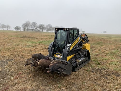 Customer photo review of Pig Brig Trap System