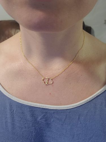 Customer photo review of Collier Or Jaune 10 carats & diamants - Édition Limitée