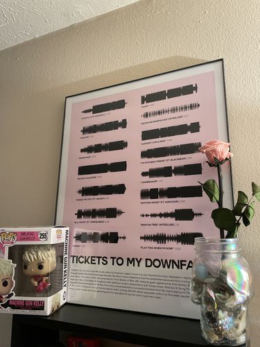 Customer photo review of "Tickets to My Downfall"