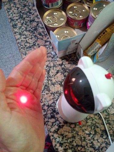 Customer photo review of Automatic Interactive LED Laser Cat Toy