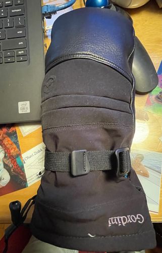 Customer photo review of Gordini The Polar Mittens - Men's
