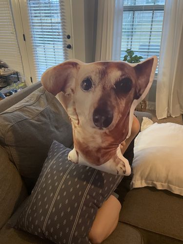 Customer photo review of Create A Custom Dog Pillow