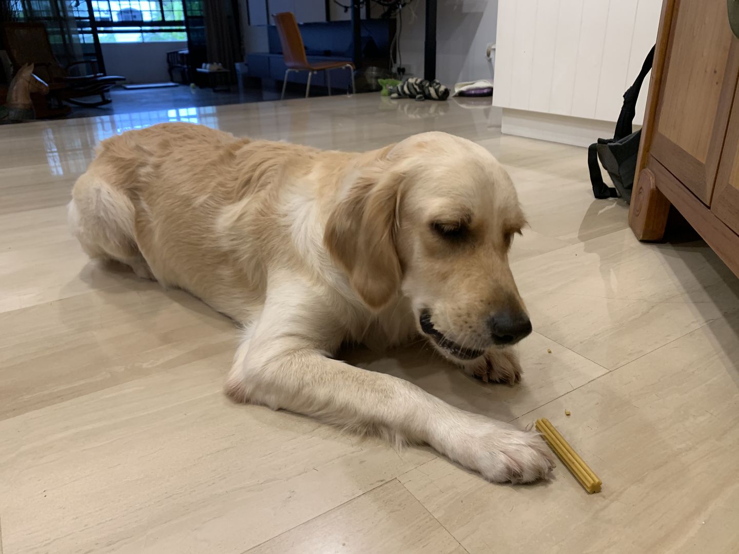 Customer photo review of arrr Dental Chew