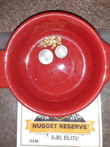 Customer photo review of *BOGO* Pioneer '2 OUNCE NUGGET HUNT' - Gold Panning Paydirt Concentrate