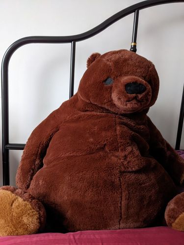Customer photo review of SKOGGY BEAR