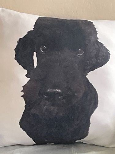 Customer photo review of Create A Custom Dog Pillow