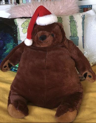 Customer photo review of SKOGGY BEAR