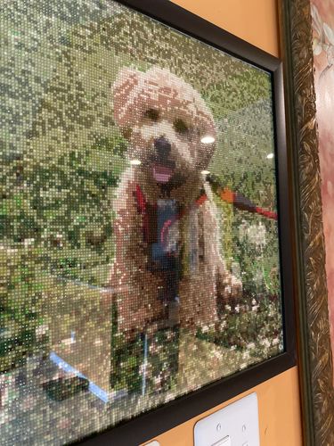 Customer photo review of Your Advanced Custom Diamond Painting Kit - Premium Quality