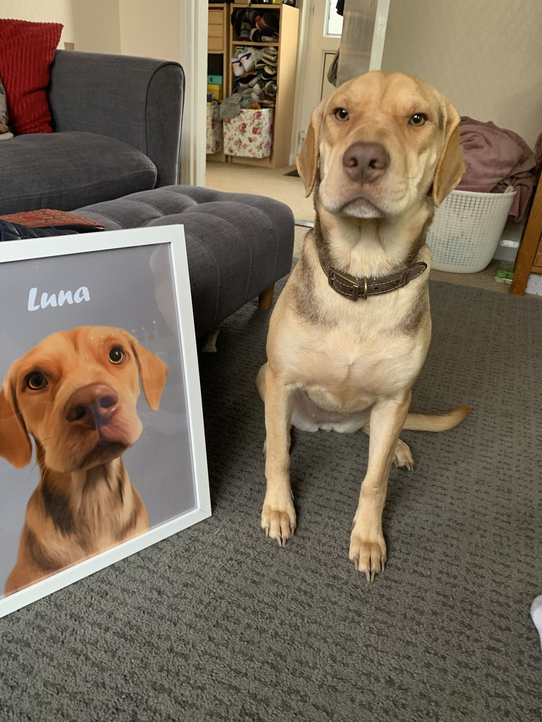 Customer photo review of Minimalist: Custom Pet Portrait