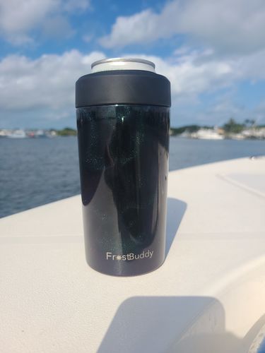 Customer photo review of Universal Buddy 2.0 | Northern Lights (Limited Edition)