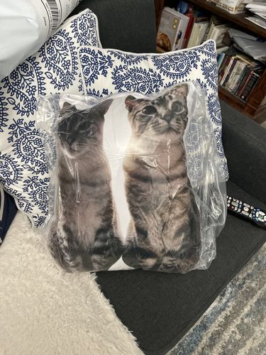 Customer photo review of Create A Custom Cat Pillow