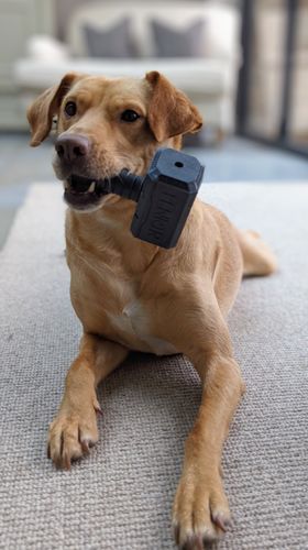 Customer photo review of The Fenrir Hammer