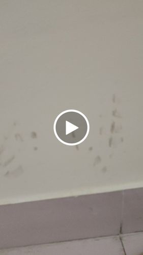 Customer video review of HARD STAINS SPRAY + WIPE | Advanced P3 Formula