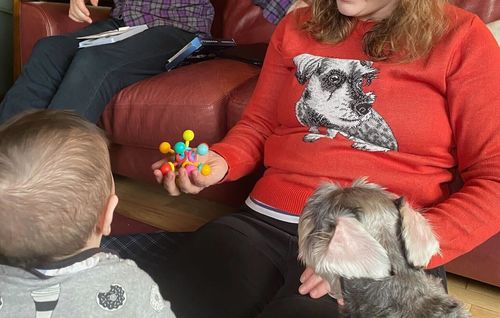Customer photo review of Full-Body Pet Custom Sweater