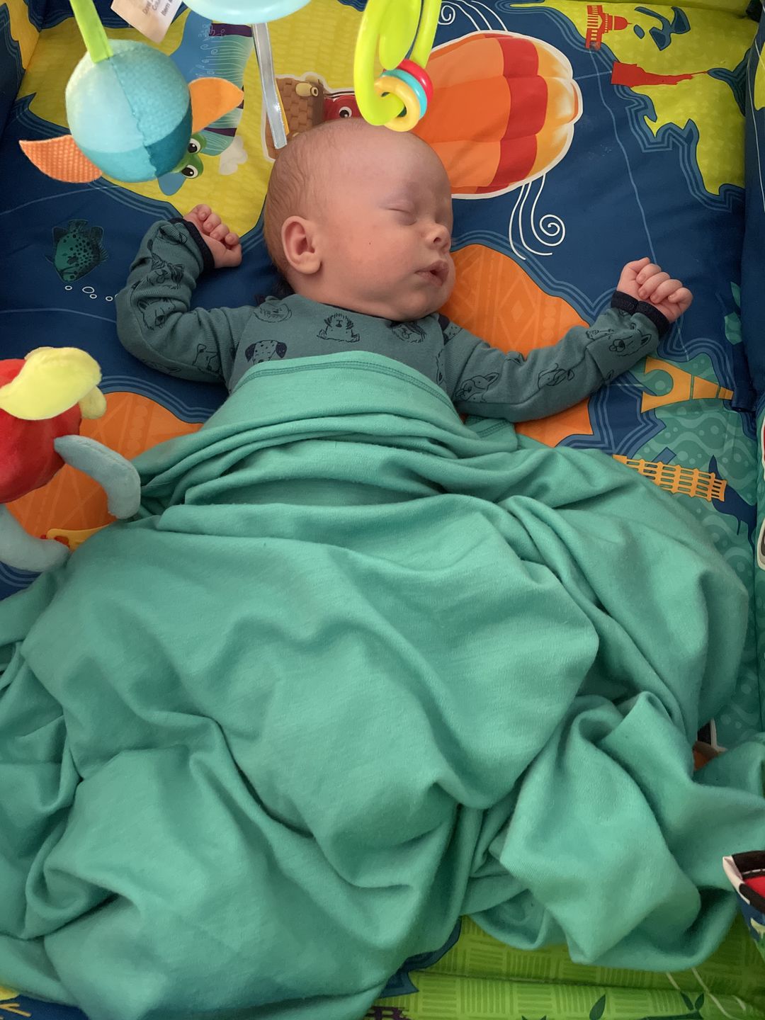 Customer photo review of adventure blanket