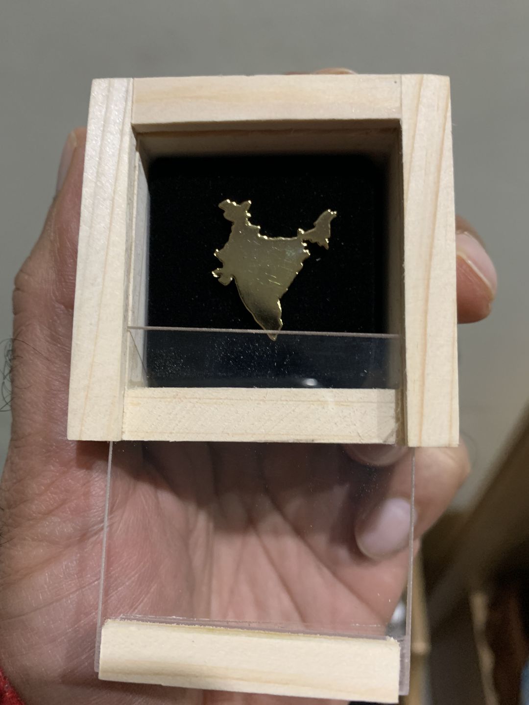 Customer photo review of Lapel Pin India Map