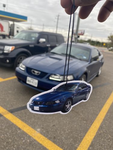 Customer photo review of Four Custom Air Fresheners