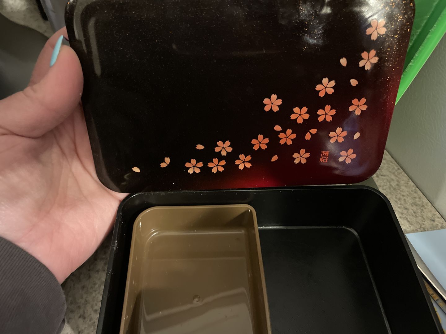 Customer photo review of Sakura Petals One Tier Bento Box | 600ml