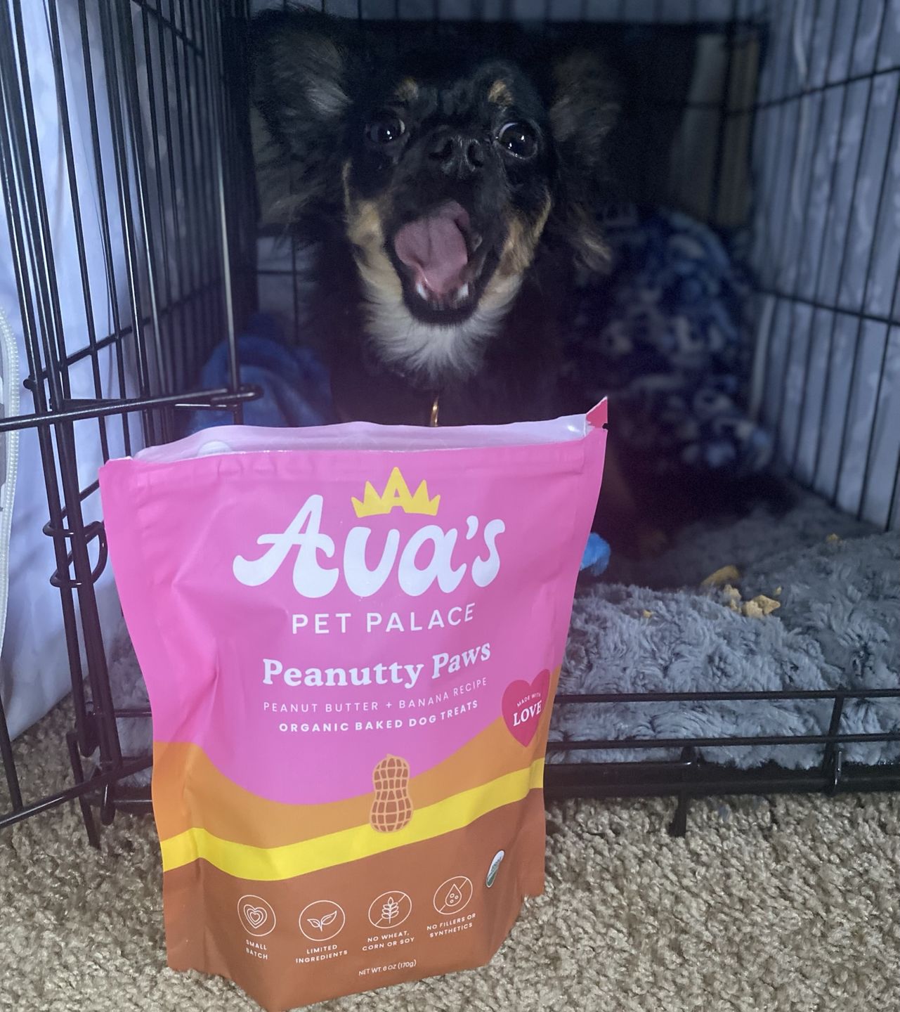 Customer photo review of Organic Baked Dog Treats - Peanutty Paws
