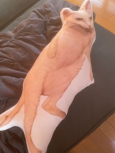 Customer photo review of Create A Custom Cat Pillow