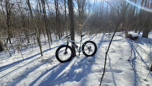 Customer photo review of Minnesota - Fat 26"