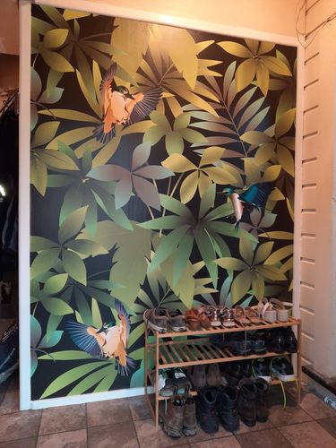 Customer photo review of Kingfisher - NZ Custom Sized Wallpaper Mural (per m2)