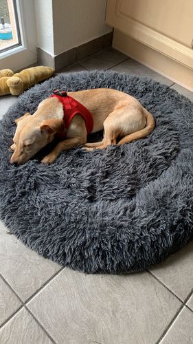 Customer photo review of Puppery Kuschelbett - Das Original
