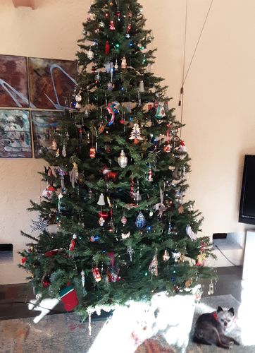 Customer photo review of Knee-High Compression - Nude