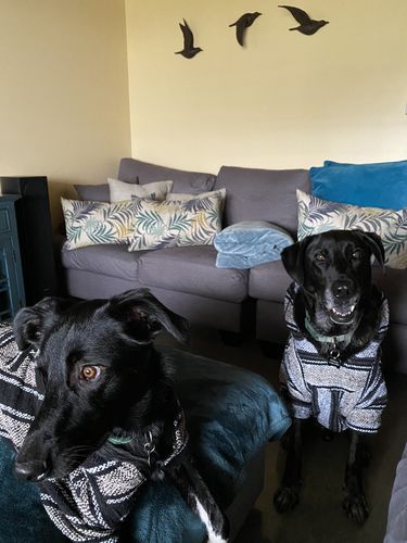 Customer photo review of Playa Poncho