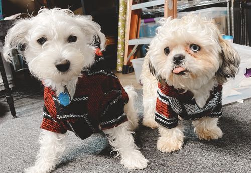 Customer photo review of Playa Poncho