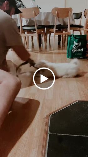 Customer video review of FILM NOIR VIDEO LUTS (MOBILE & DESKTOP)