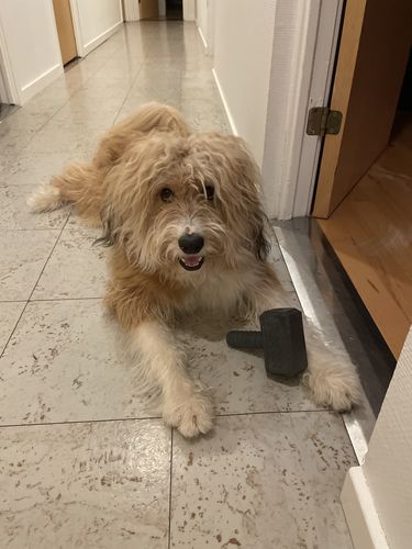 Customer photo review of The Fenrir Hammer