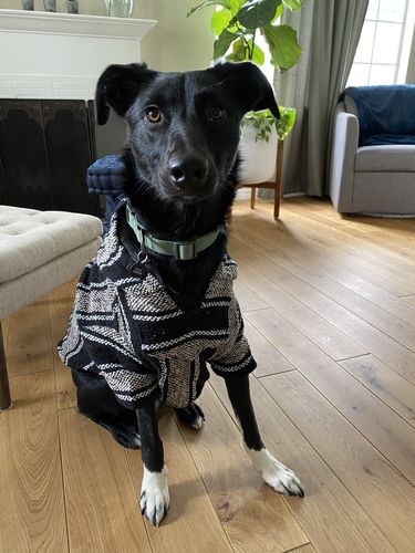 Customer photo review of Playa Poncho