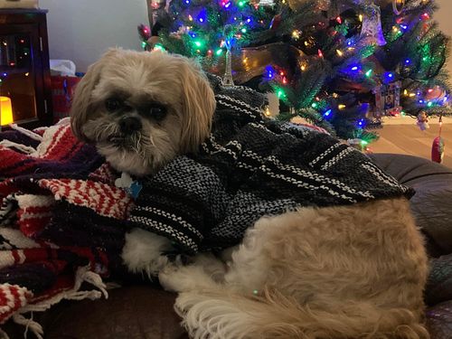 Customer photo review of Playa Poncho