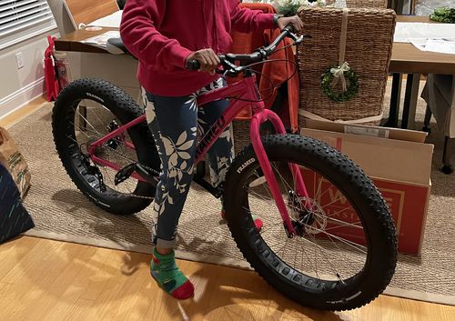 Customer photo review of Minnesota Women's - Fat 26"