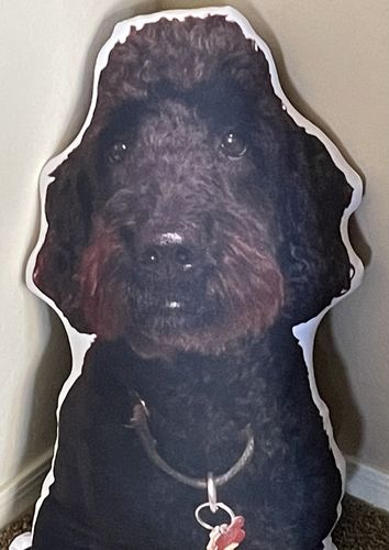Customer photo review of Create A Custom Dog Pillow