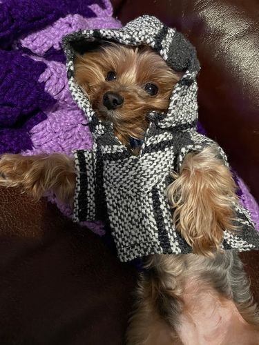 Customer photo review of Playa Poncho