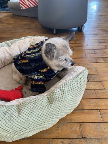 Customer photo review of Playa Poncho