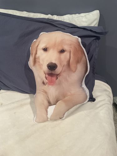 Customer photo review of Create A Custom Dog Pillow