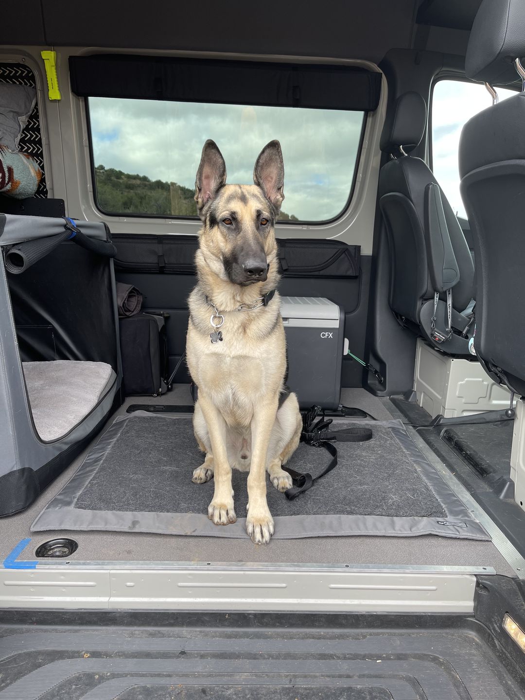 Customer photo review of Sprinter - Crew Window Shade (Driver’s Side, 1st Row)