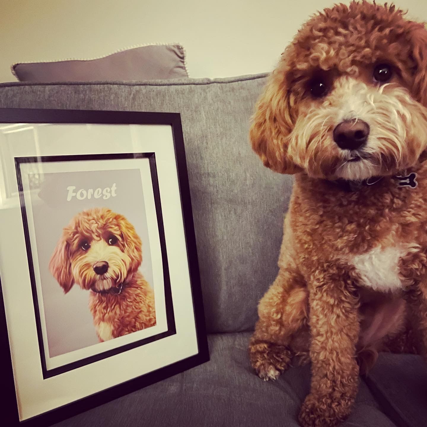 Customer photo review of Minimalist: Custom Pet Portrait