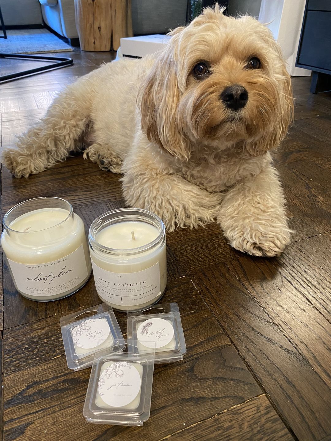 Customer photo review of Velvet Plum 22 oz Glass Candle