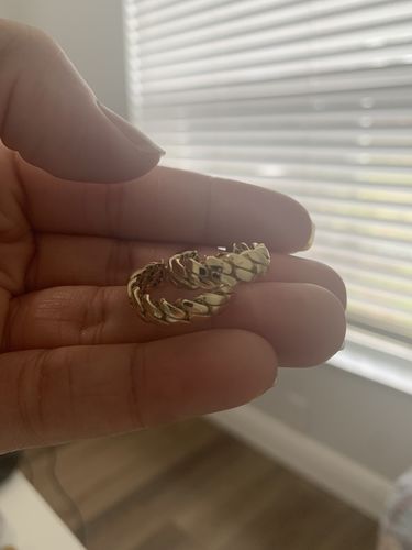 Customer photo review of *NEW* 14k CZ Cuban Hoops JTJ™