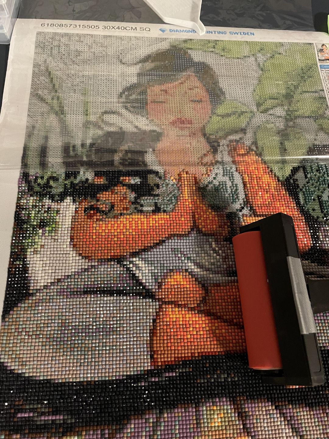 Customer photo review of Plastroller