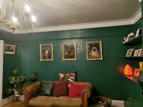 Customer photo review of The General - Custom Vintage Pet Portrait