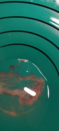 Customer photo review of *BOGO* Gold Diggers Delight '5 OUNCE GOLD CHASE' - Gold Paydirt Panning Concentrates